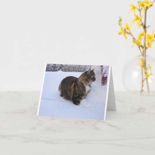 norwegian forest cat in snow カード (黄色い花)