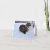 norwegian forest cat in snow カード (正面)