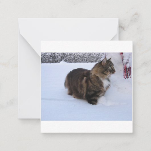 norwegian forest cat in snow ノートカード (正面)