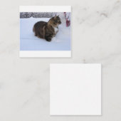 norwegian forest cat in snow ノートカード (正面/裏面)