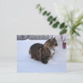 norwegian forest cat in snow ポストカード (スタンド正面)