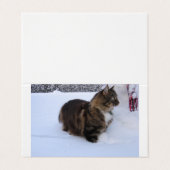 norwegian forest cat in snow 名刺 (外部フラット)