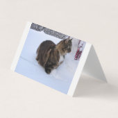 norwegian forest cat in snow 名刺 (正面)