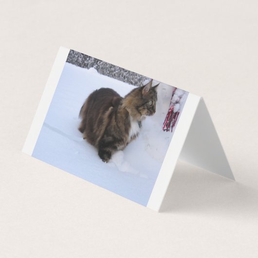 norwegian forest cat in snow 名刺 (正面)