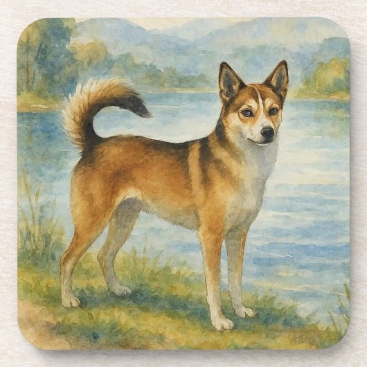 Norwegian Lundehund コースター (正面)