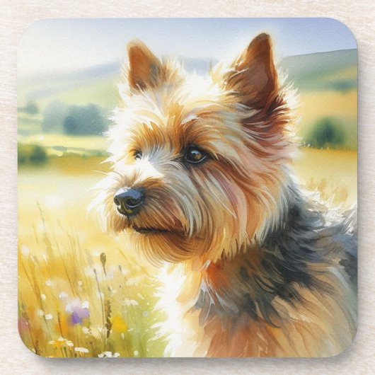 Norwich Terrier コースター (正面)