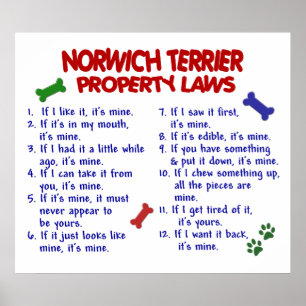 NORWICH TERRIER PL2 ポスター