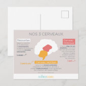 Nos 3 cerveaux ポストカード (正面/裏面)
