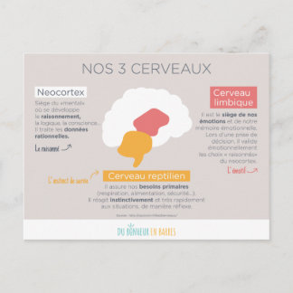 Nos 3 cerveaux ポストカード