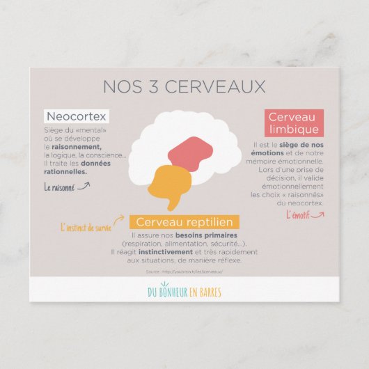 Nos 3 cerveaux ポストカード (正面)