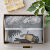 NOS Vintage Antique Stunning Owl Illustrations 薄葉紙 (ギフト)