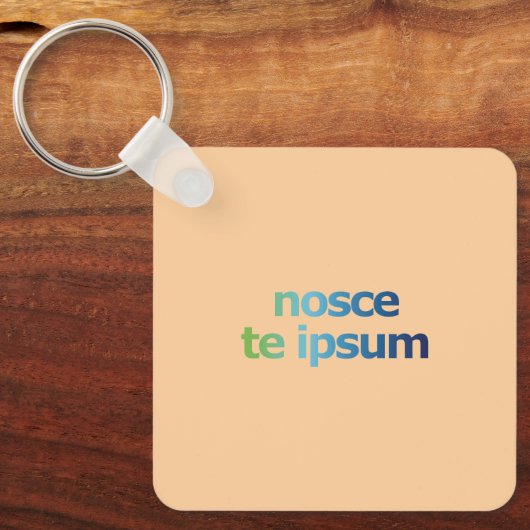 Nosce Te Ipsum -汝を知れ- 表現 キーホルダー (正面)