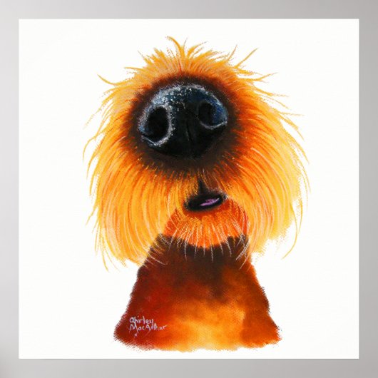 Nosey Dog ' OTIS LiKe SuNSHiNe 'シャーリーMac ポスター (正面)