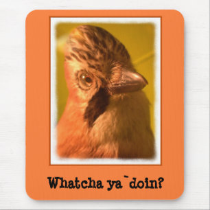 Nosey Jay Bird マウスパッド