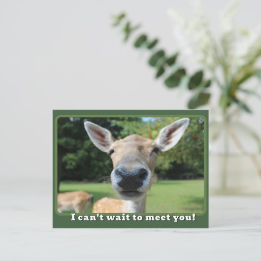 Nosy鹿はあなたを満たすために待つことができない先生注 ポストカード (スタンド正面)