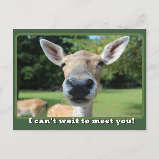 Nosy鹿はあなたを満たすために待つことができない先生注 ポストカード (正面)