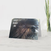 NOSY DOG「50か？」 おもしろい誕生日カード カード (正面)