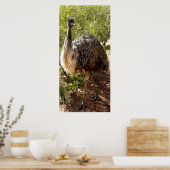 Nosy Emuのポスター ポスター (キッチン)