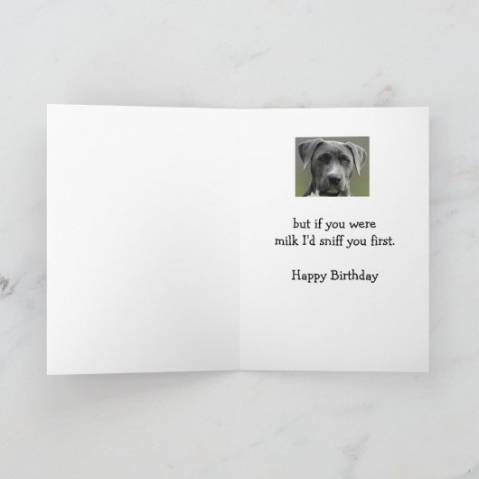 Notことわざあなたは古いがハッピーバースデーおもしろい犬 カード (内部)