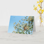 Not a Doctor Card カード (黄色い花)