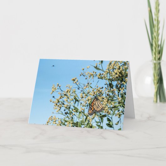 Not a Doctor Card カード (正面)