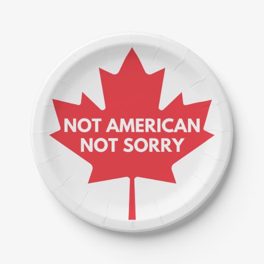 Not American, Not Sorry紙プレート ペーパープレート (正面)