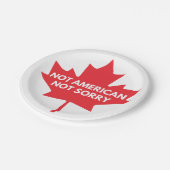 Not American, Not Sorry紙プレート ペーパープレート (アングル)