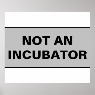 Not an incubator women are people ポスター