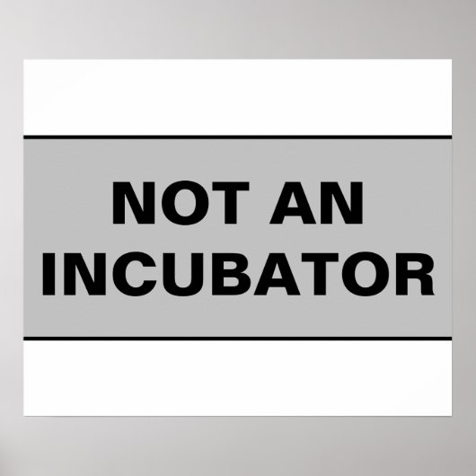 Not an incubator women are people ポスター (正面)