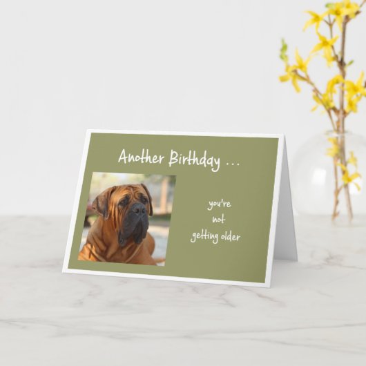 Not Getting Olar Bulldog Dog Greeting カード (黄色い花)