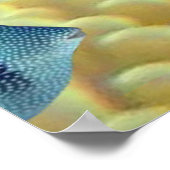 Not Just Tropical Fish Live On Coral Reefs ポスター (角)