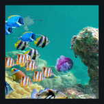 Not Just Tropical Fish Live On Coral Reefs ポスター<br><div class="desc">Other species also live on or near coral reefs. But more importantly, many humans also depend on the coral reefs for their survival. The coral reefs of this planet are home to a large number of the fish species that humans rely on. They are also important for the developing of...</div>