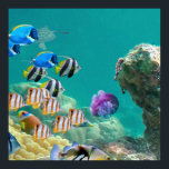 Not Just Tropical Fish Live On Coral Reefs ポスター<br><div class="desc">Other species also live on or near coral reefs. But more importantly, many humans also depend on the coral reefs for their survival. The coral reefs of this planet are home to a large number of the fish species that humans rely on. They are also important for the developing of...</div>