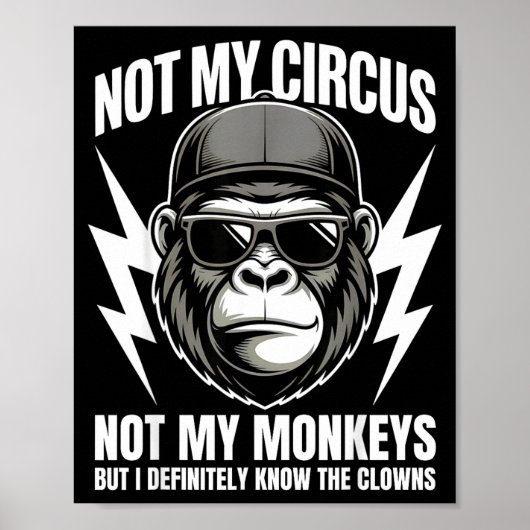 Not My Circus Not My Monkeys But I Definitely Know ポスター (正面)
