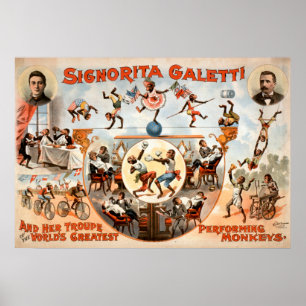 Not My Monkeys Not My Circus Vintage Poster ポスター