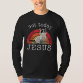 Not Today Jesus Satanic  Cat Rainbow Tシャツ (正面)