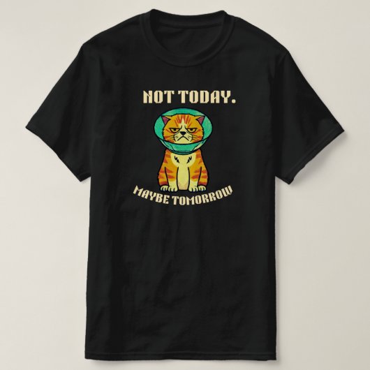 Not Today Maybe Tomorrow Funny Grumpy Cat Design Tシャツ (デザイン正面)