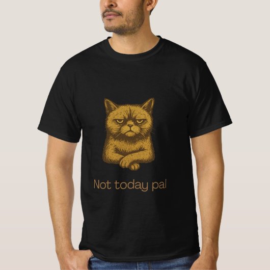 Not Today Pal Cat Shirt - Grumpy猫好きTee Tシャツ (正面)