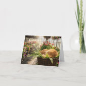 Note Card Cat Napping in Hanging Fern Basket カード (正面)