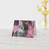 Note Card with kitten photo カード (黄色い花)