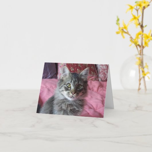 Note Card with kitten photo カード (黄色い花)