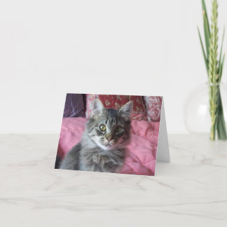 Note Card with kitten photo カード