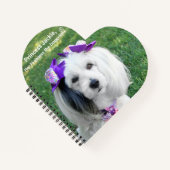 Notebook ノートブック (正面)