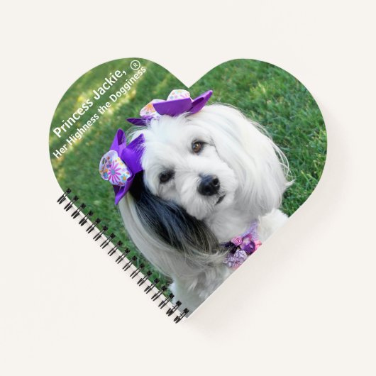 Notebook ノートブック (正面)