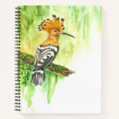 Notebook with Watercolor Hoopoe ノートブック (正面)