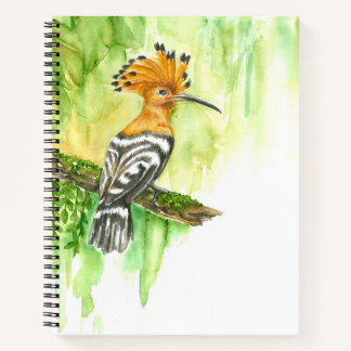 Notebook with Watercolor Hoopoe ノートブック