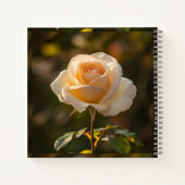  Notebooks & Journals ノートブック (裏面)