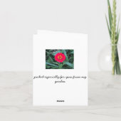 notecardありがとう サンキューカード (裏面)