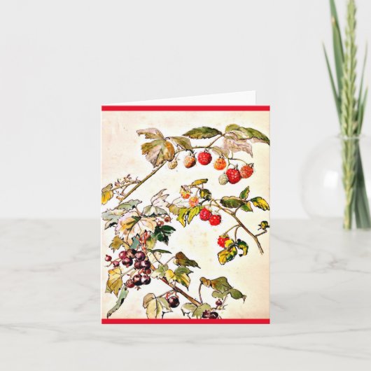 Notecardヴィンテージのイラストレーションベアトリックスの陶工8 カード (正面)