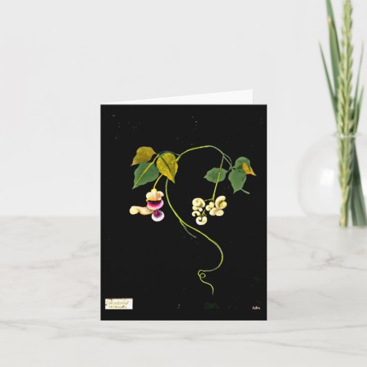 Notecard植物の芸術メリーDelany 5 カード (正面)